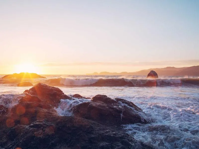 Professional Event Services - Gallery image