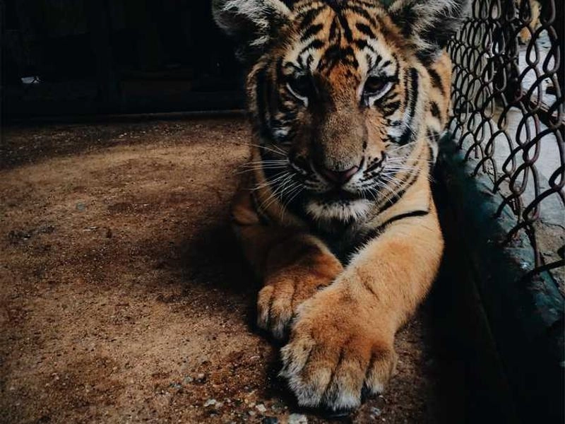 Event Kits Direct - Gallery image