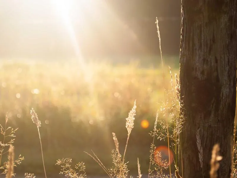 Cupertino Corporate DJ - Gallery image