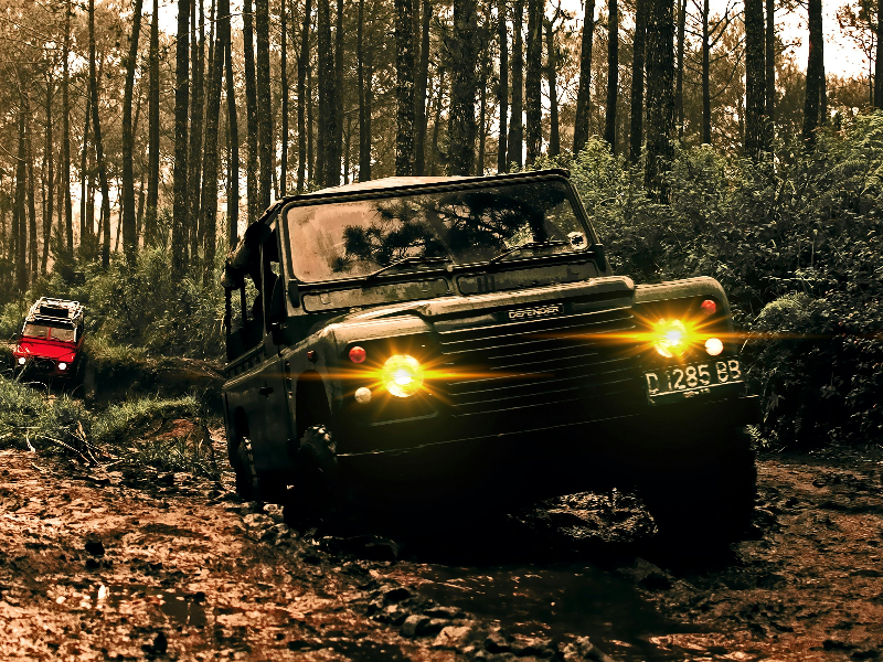 QA Vendor - Gallery image