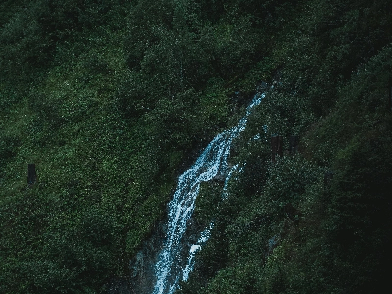 🔥 The Archery Experience: Aim. Release. Feel the Rush. - Gallery image