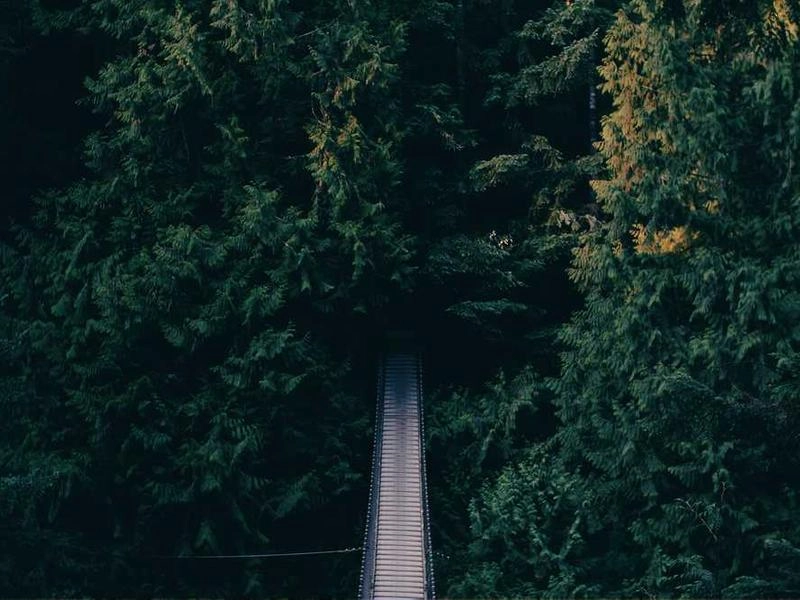 Claremont Precision Event Cleaners - Featured image