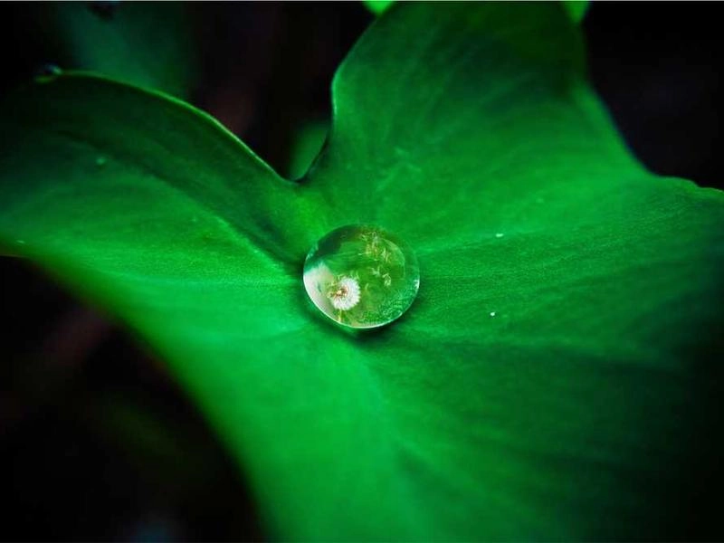 Newark Corporate Visuals - Gallery image