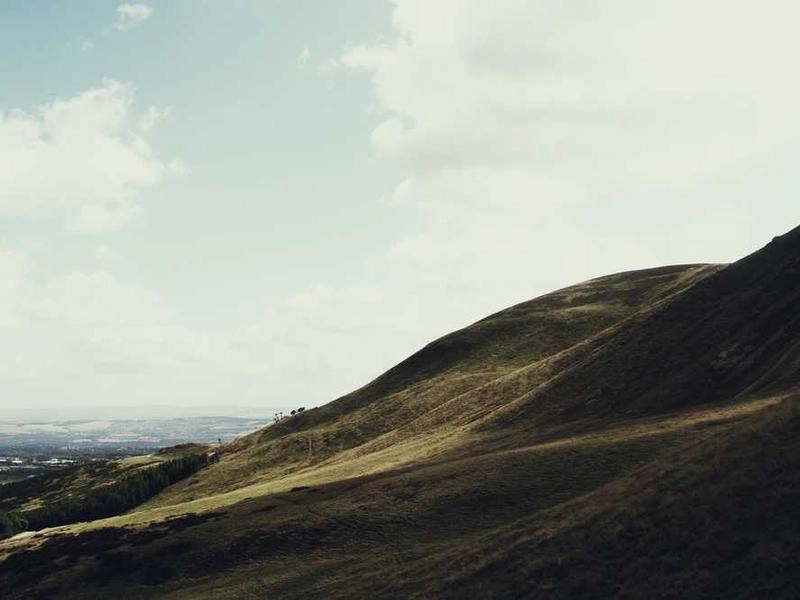 Oakland Bridge Builders - Gallery image