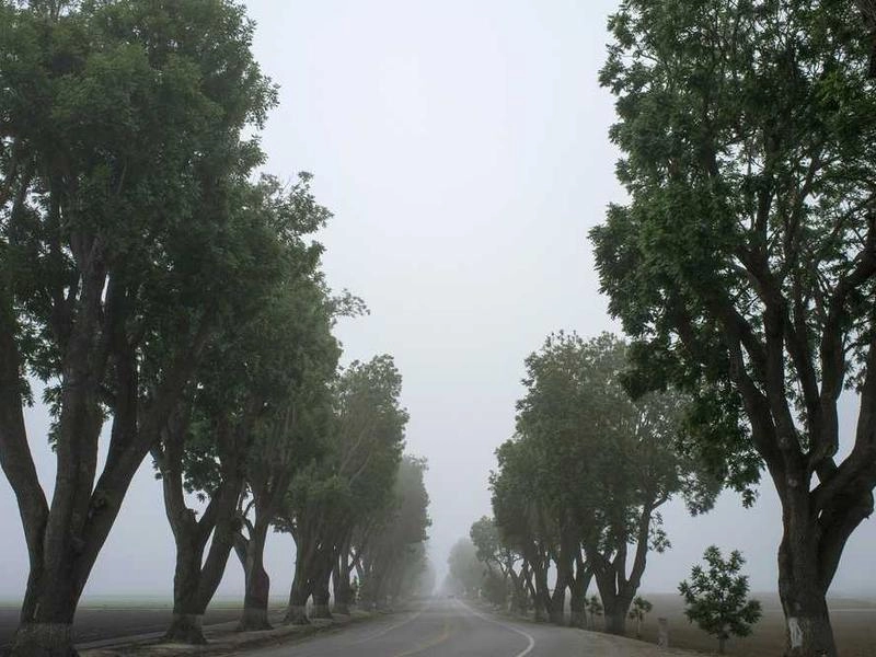 Upland Team Build Kits & Supplies - Gallery image