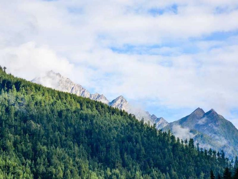 Brea Corporate Event Staffing - Featured image