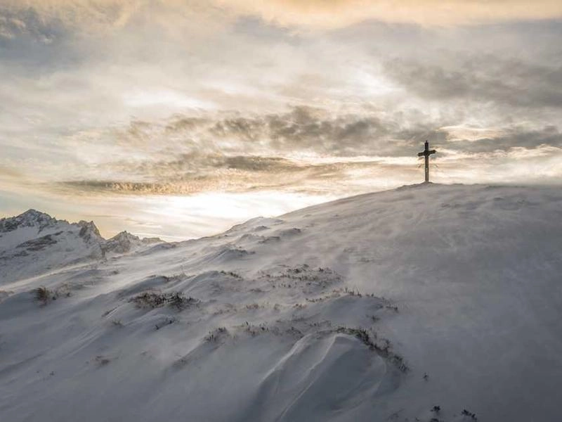 Monrovia Collaborative Arts Studio - Gallery image