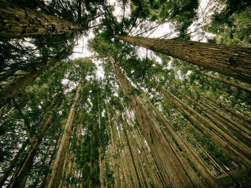 Covina Global Connect Translation Services - Featured image