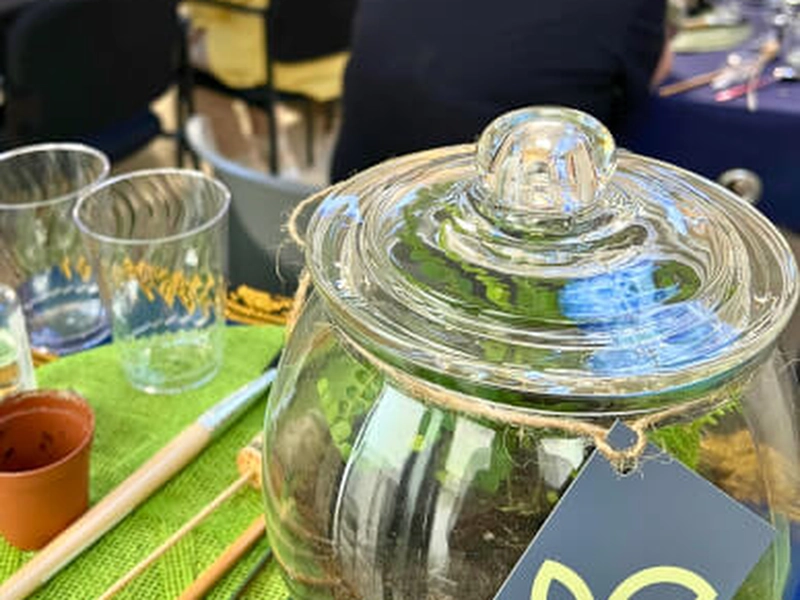 Tropical Terrarium Creation Workshop for Team Building - Gallery image