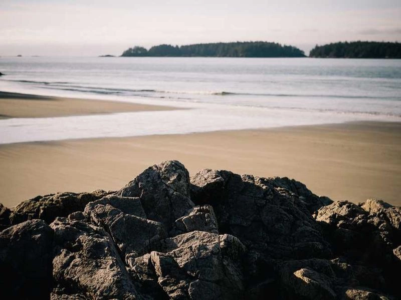 Hayward Precision Clean Team - Gallery image