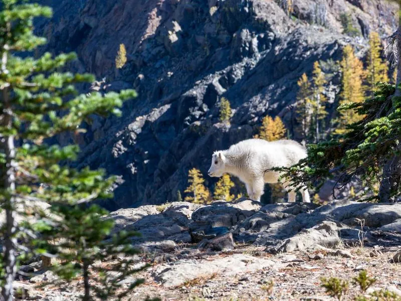 Austin Tech Hub Event Loft - Gallery image