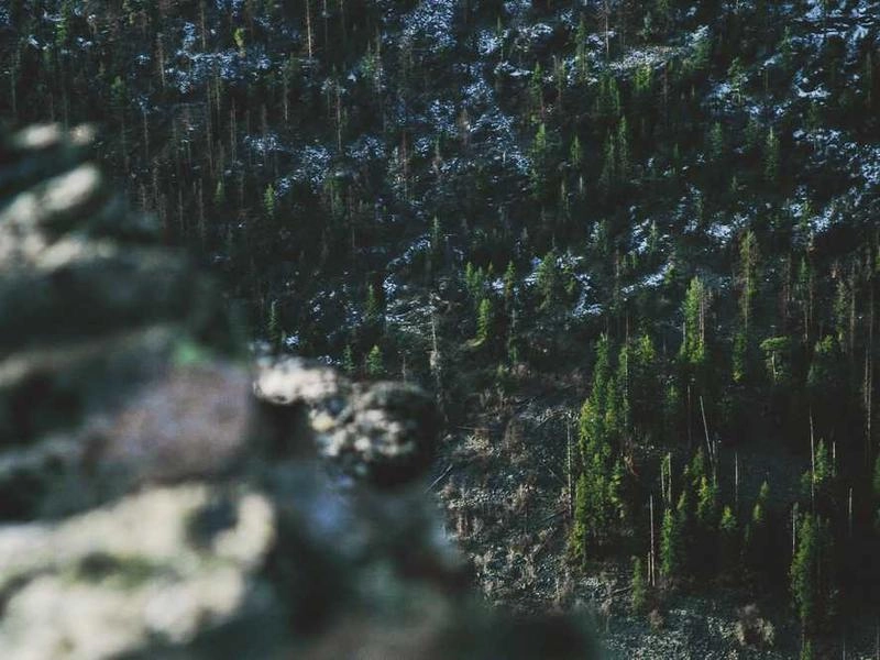 Mountain View Corporate Entertainment Collective - Gallery image