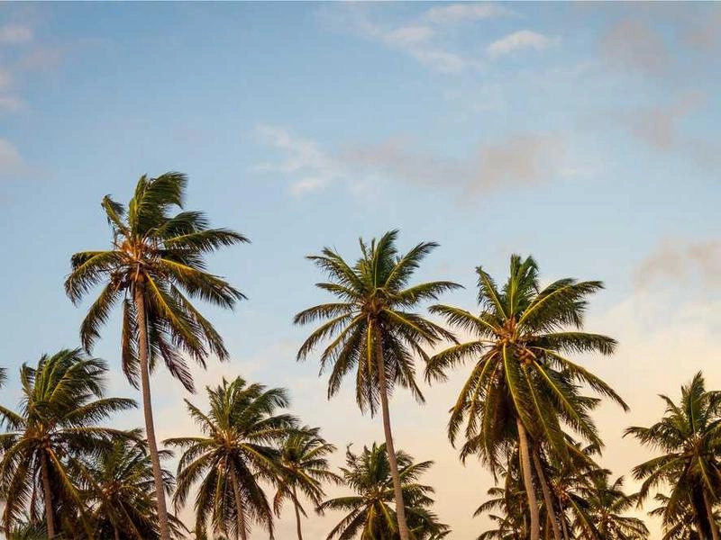 Rohnert Park Corporate Team-Building Kits - Featured image