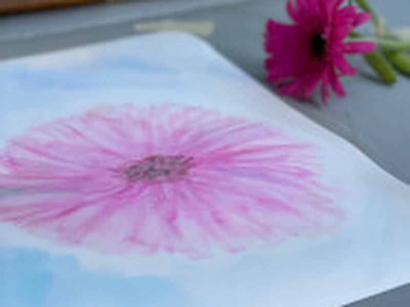Nature-Inspired Watercolor Painting Workshop for Teams - Featured image
