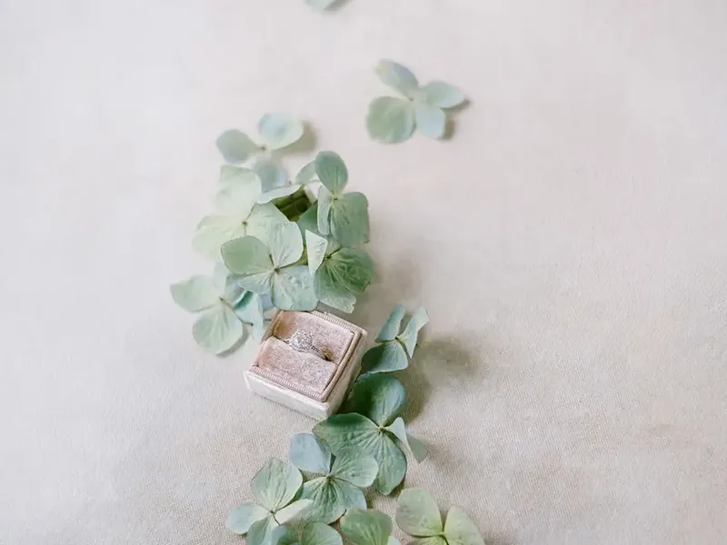 Full-Service Wedding Planning Package - Featured image