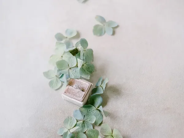 Full-Service Wedding Planning Package - Engagement - Featured image