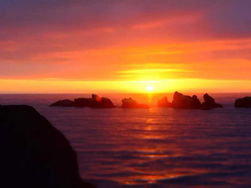 Professional Event Services - Gallery image