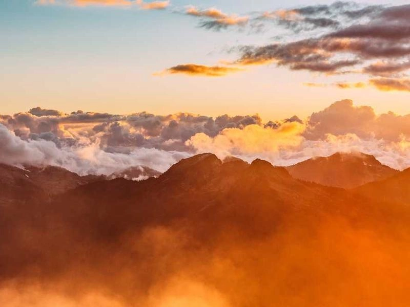 Arcadia Synergy Forge - Gallery image