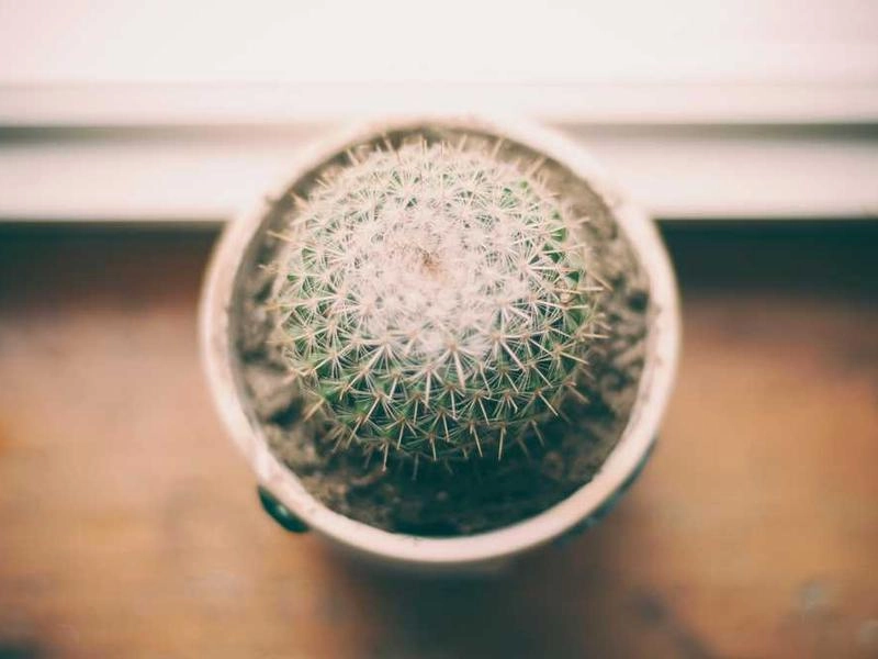 San Francisco Elevated Event Design - Gallery image