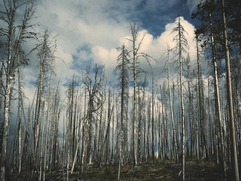 Moorpark Corporate Entertainment Collective - Gallery image