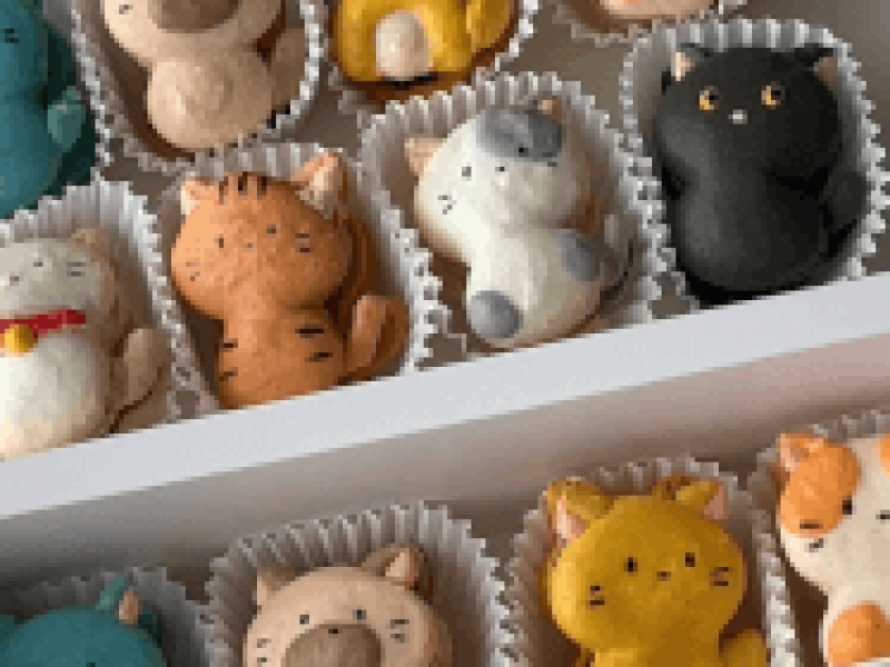 Character Macaron Making Class - Gallery image