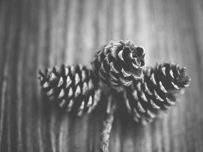 San Francisco Tech District Catering Co. - Featured image