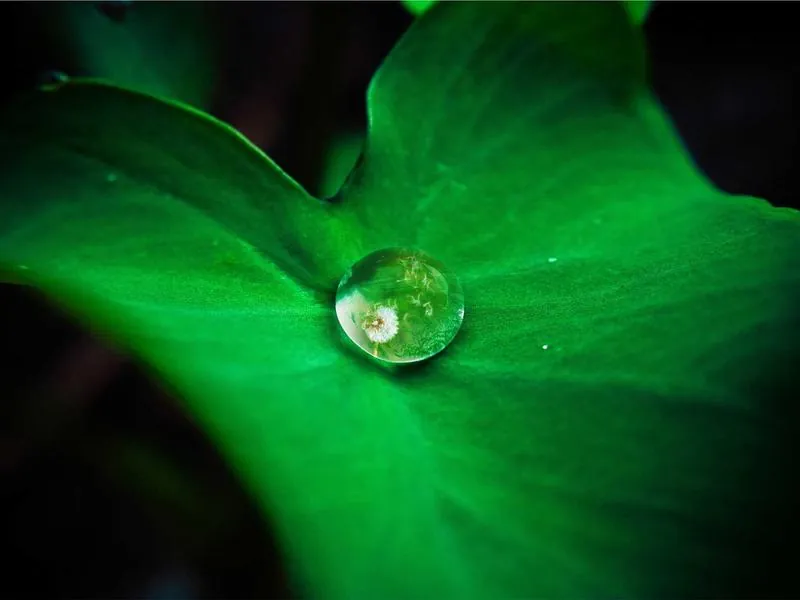 Fremont Corporate Conference Center - Gallery image