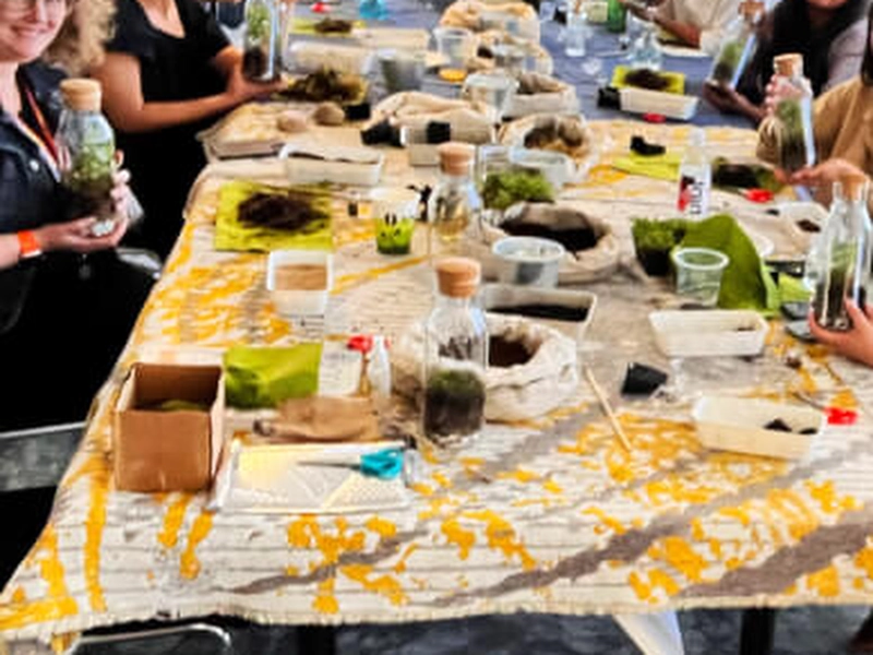 Closed Terrarium Workshop for Team Building and Creativity - Gallery image