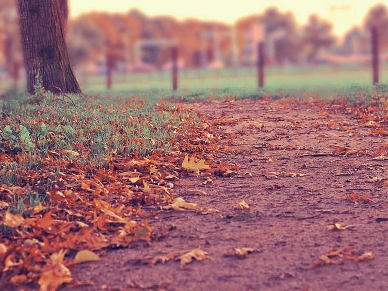 Laguna Niguel Premier Event Staffing - Gallery image