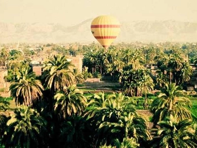 Alameda Precision Language Solutions Staff - Featured