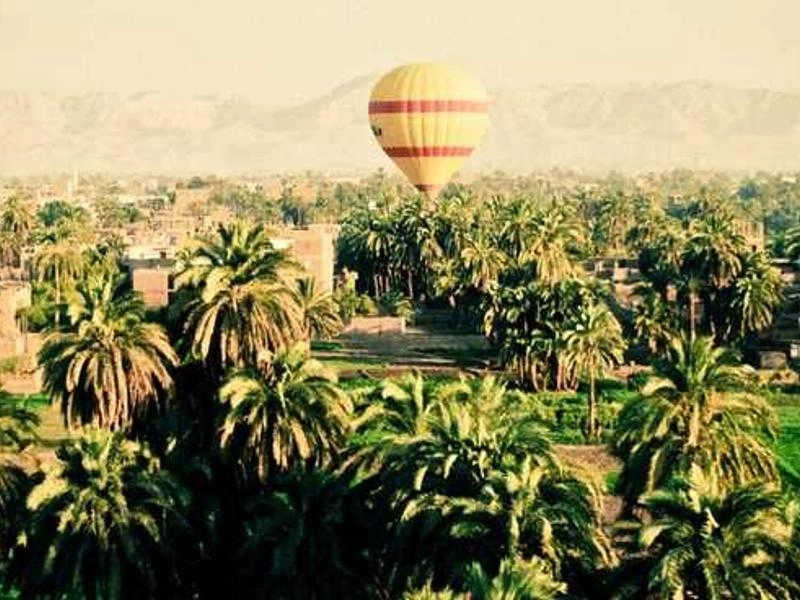 Alameda Precision Language Solutions - Featured image