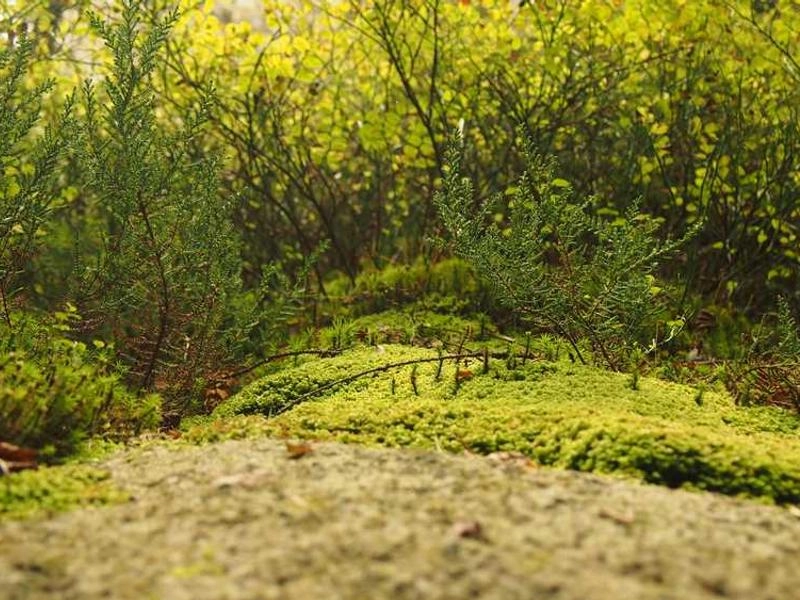 Downey Corporate Visuals - Featured image