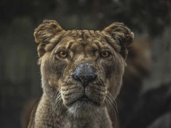 Westminster Corporate Coach & Shuttle - Engagement - Featured image