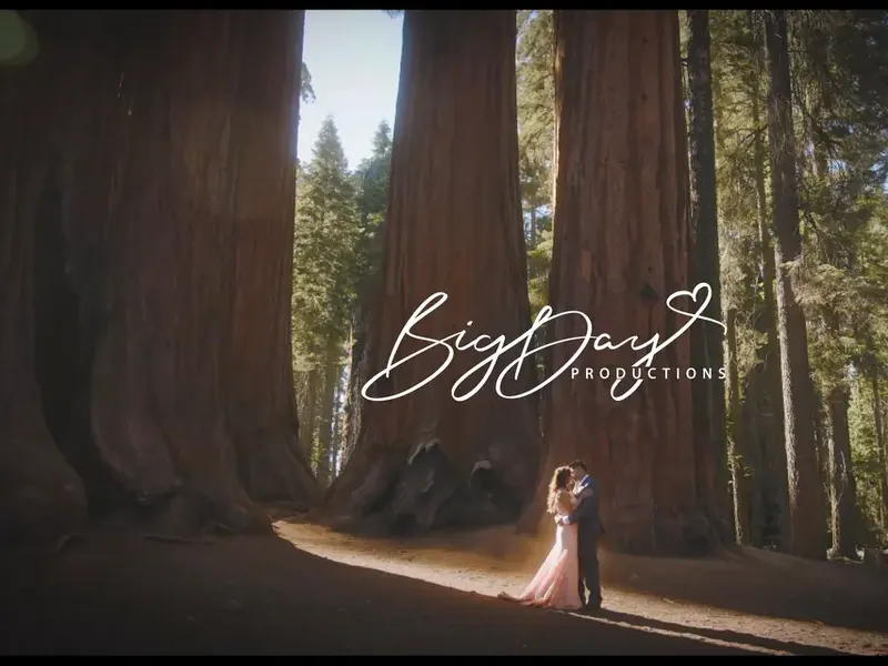 Big Day Productions - Gallery image