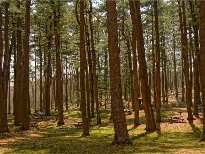 San Jose Corporate Rentals & Staging Rentals - Featured