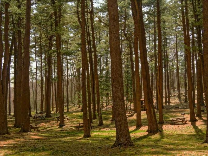 San Jose Corporate Rentals & Staging - Featured image