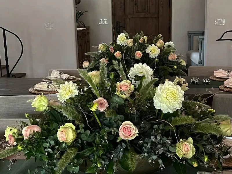 Starting Package - Gallery image