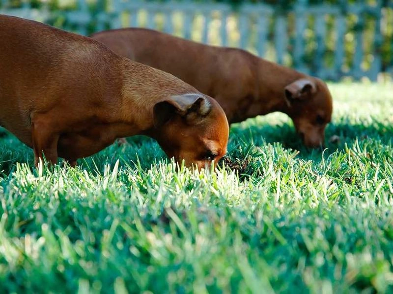 El Cerrito Corporate Event Staffing - Gallery image