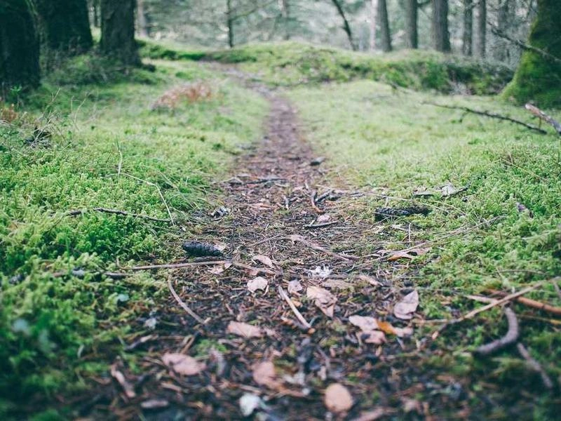 Rialto Team-Building Kits & Supplies - Gallery image