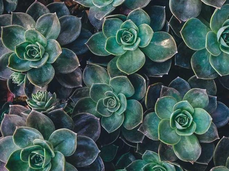 Petaluma Corporate Rentals & Staging - Featured image