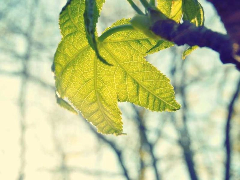 Inglewood Corporate Stylists - Gallery image