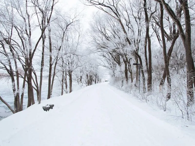 Pleasanton Corporate DJ - Gallery image