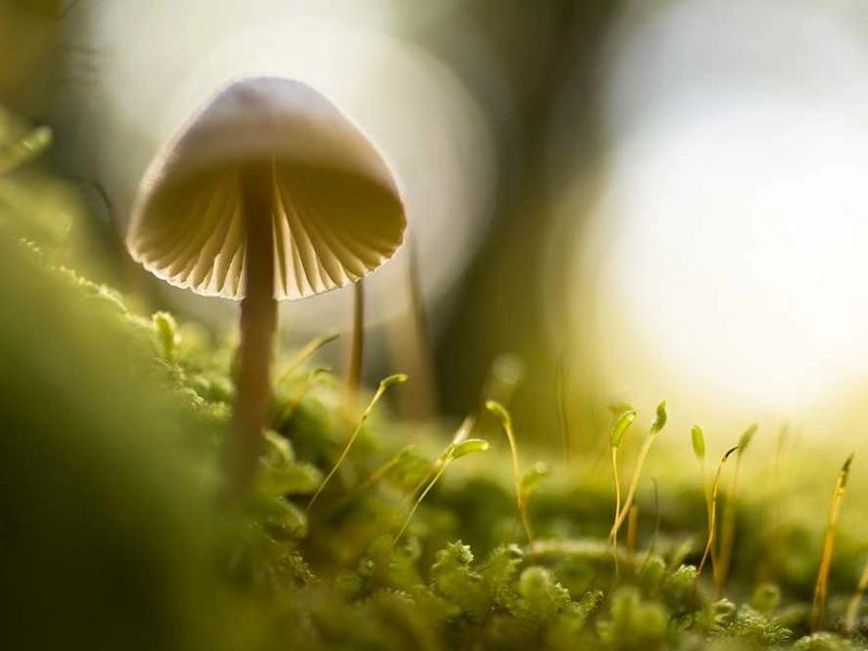 Sunnyvale Precision Clean Team - Featured image