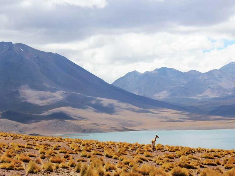 Oakland Artisan Plate Catering - Gallery image