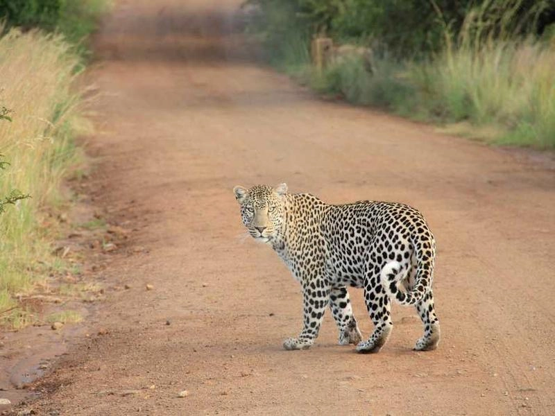 Santa Clara Corporate Rentals & Staging - Gallery image