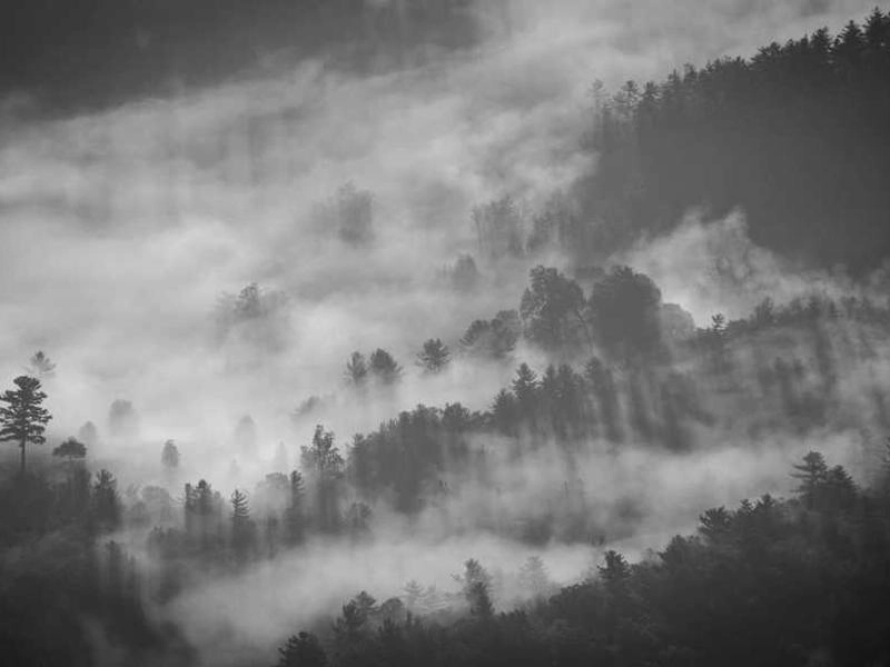 San Jose Silicon Valley Tech Support - Gallery image