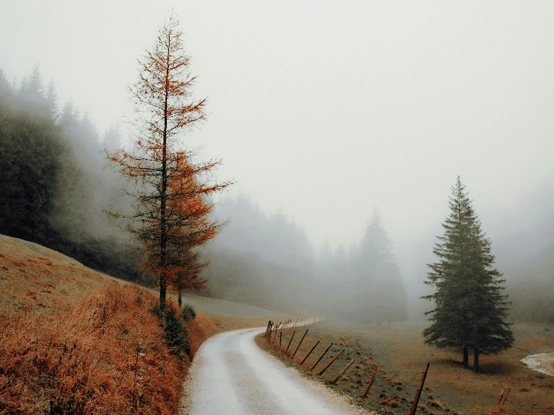 Main - Gallery image