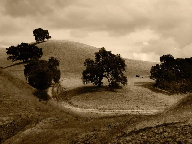 Sunnyvale Tech Terrace Catering - Gallery image