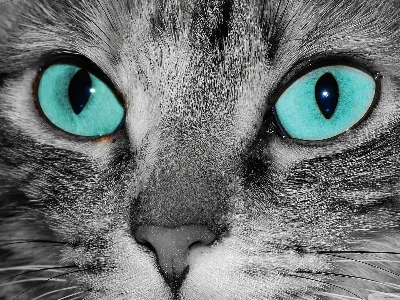 Beauty Beauty - Featured