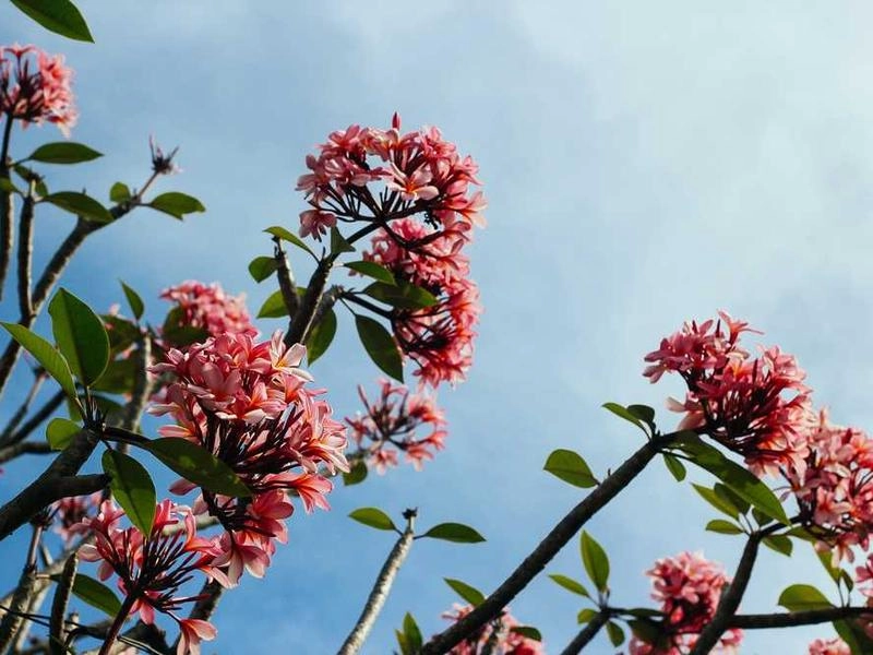 Murrieta Corporate AV & Staging Solutions - Gallery image